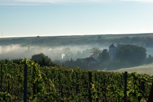 20121019_020 - Kopie            